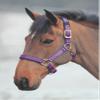 Shires Topaz Nylon Halter with BREAEKAWAY (Purple, Small Pony) view 1