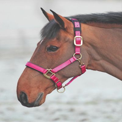 Shires Topaz Nylon Halter with BREAEKAWAY (Raspberry, Full)