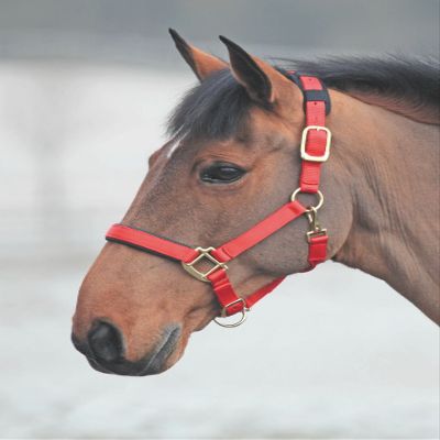 Shires Topaz Nylon Halter with BREAEKAWAY (Red, X-Small Pony)