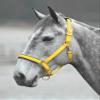 Shires Topaz Nylon Halter with BREAEKAWAY (Yellow, Full) view 1