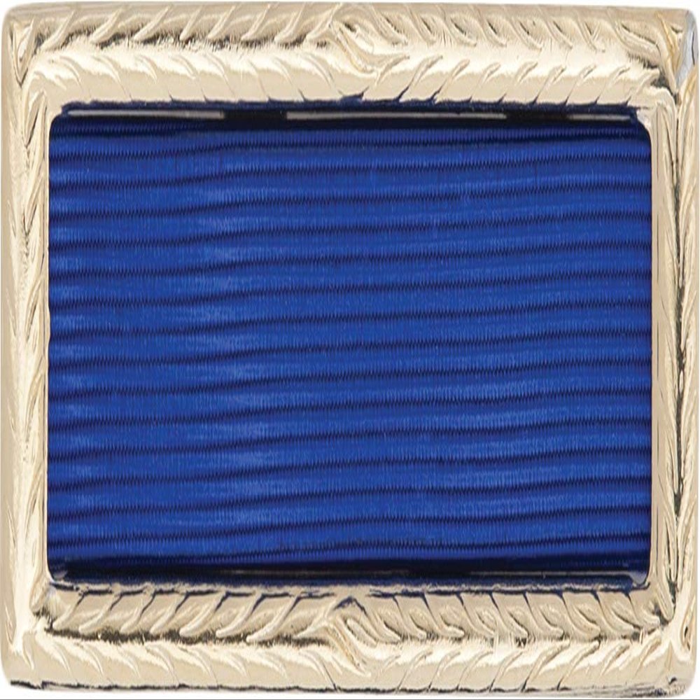 Army Presidential Unit Citation (Ribbon & Frame)