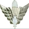 Canadian Jump Wings (White) No Shine view 1