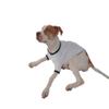 TOOLOUD Autism Awareness - Puzzle Black & White Cotton Dog Shirt White with Black Medium view 2