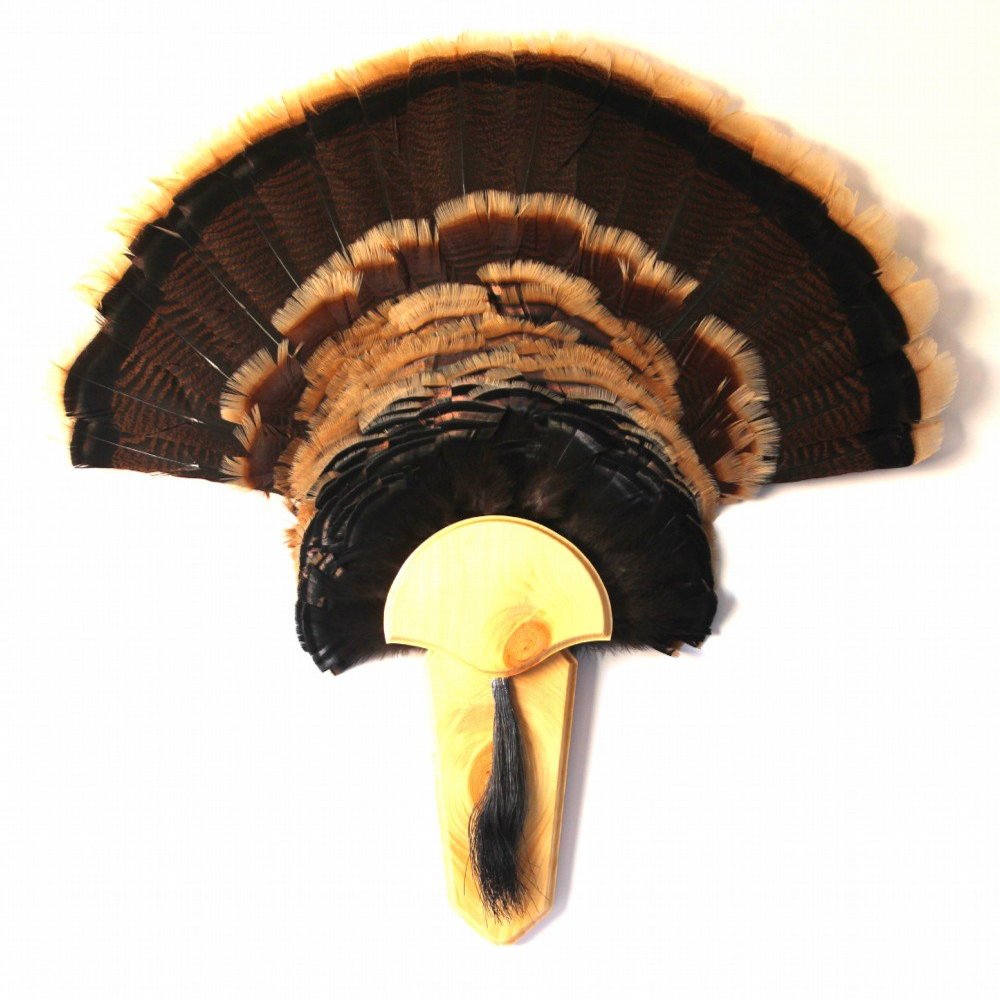 Turkey Fan & Beard Plaque The Long Beard -Pine Mounting Kit