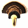 Turkey Fan & Beard Plaque The Long Beard -Pine Mounting Kit view 1