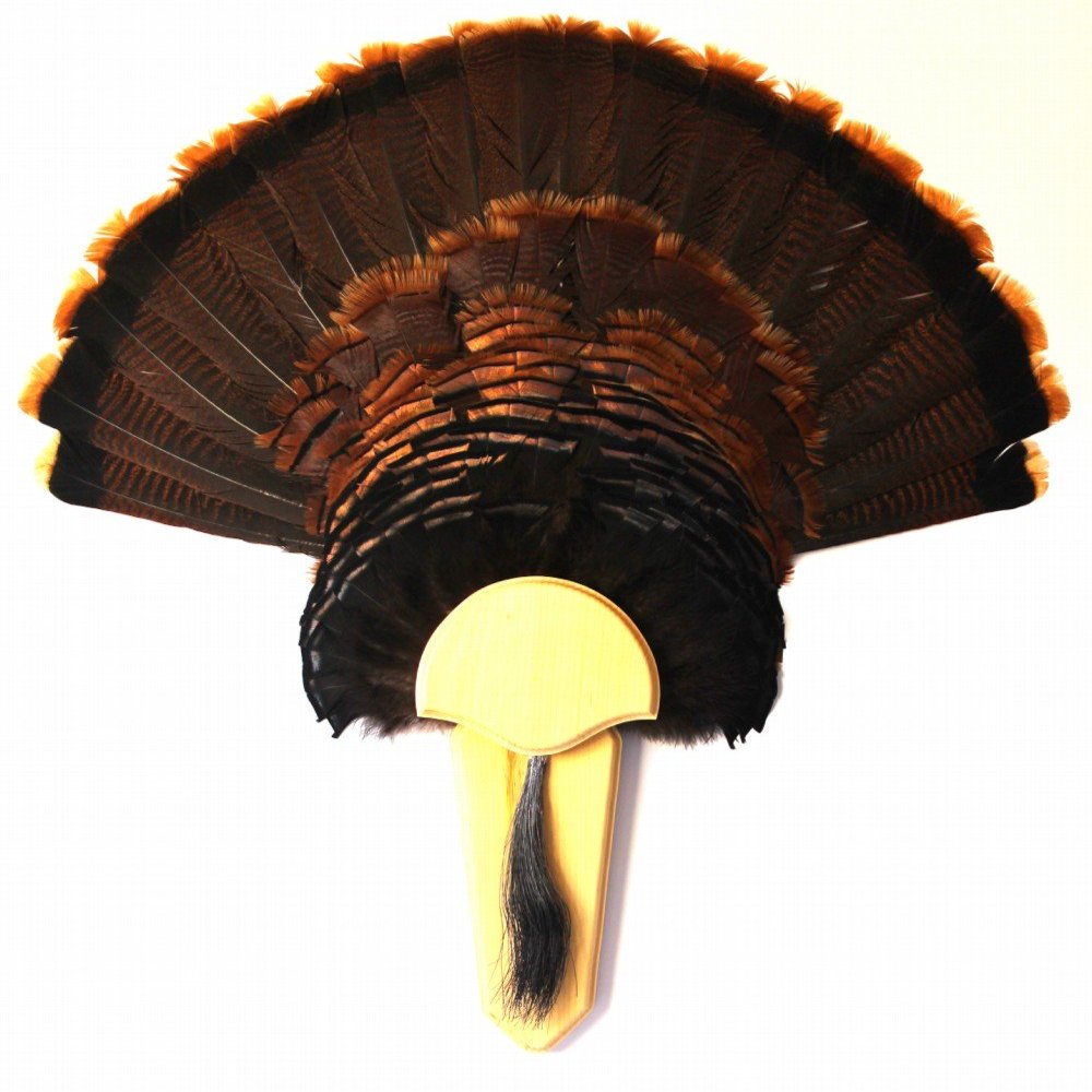 Turkey Fan & Beard Plaque The Long Beard - Poplar Mounting Kit