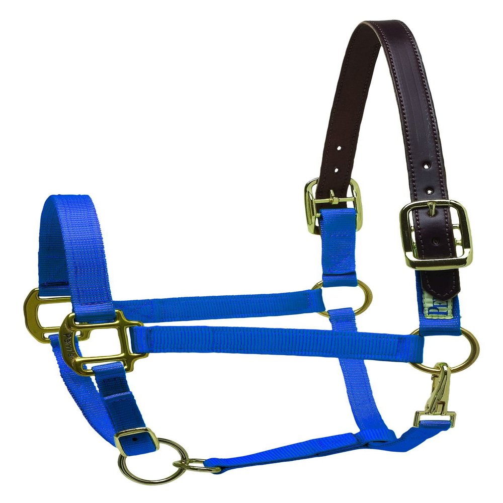 Perri's Safety Halter, Royal Blue, Draft Size