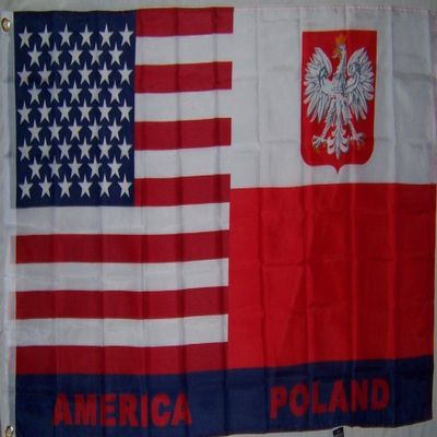 3x5 USA America American Polish Old Poland Flag 3'x5' Banner Brass Grommets