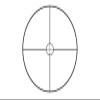 TRIJICON ACCUPOINT 1-6X24 CIR XHR GR view 4