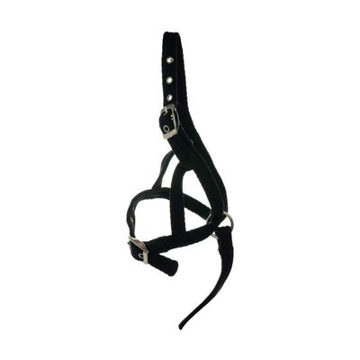 Y-H Hy Foal Slip Halter, Black