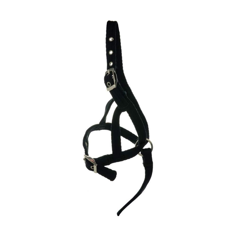 Y-H Hy Foal Slip Halter, Black