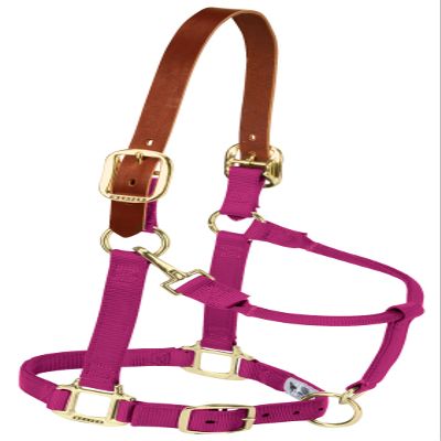 Weaver Leather Nylon Adjustable Breakaway Horse Halter, Large, Raspberry