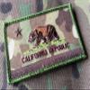 3.5 X 2 California Republic Tactical Multicam Moral britkit Patch view 1