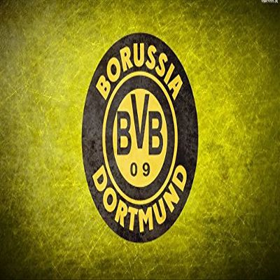 43x24 inch Borussia Dortmund Silk Poster DGS9-524