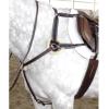 Exselle Elite 5 Point Breastplate with Running Martingale Attachment - Premium Quality for Confident and Precise Riding, Black/Black view 1