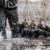 Rig'Em Right Waterfowl Pre-Rigged Xtreme Coated Tangle Free Cable Decoy Anchors for Duck Hunting (30" Length, 4-oz Weights) view 4