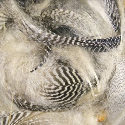 Hareline Fly Tying Teal Flank Feathers - Natural