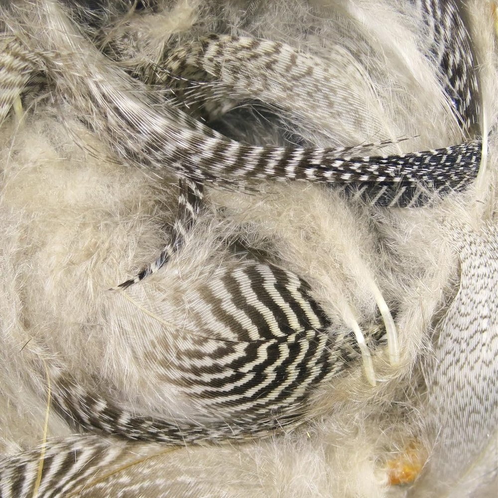 Hareline Fly Tying Teal Flank Feathers - Natural