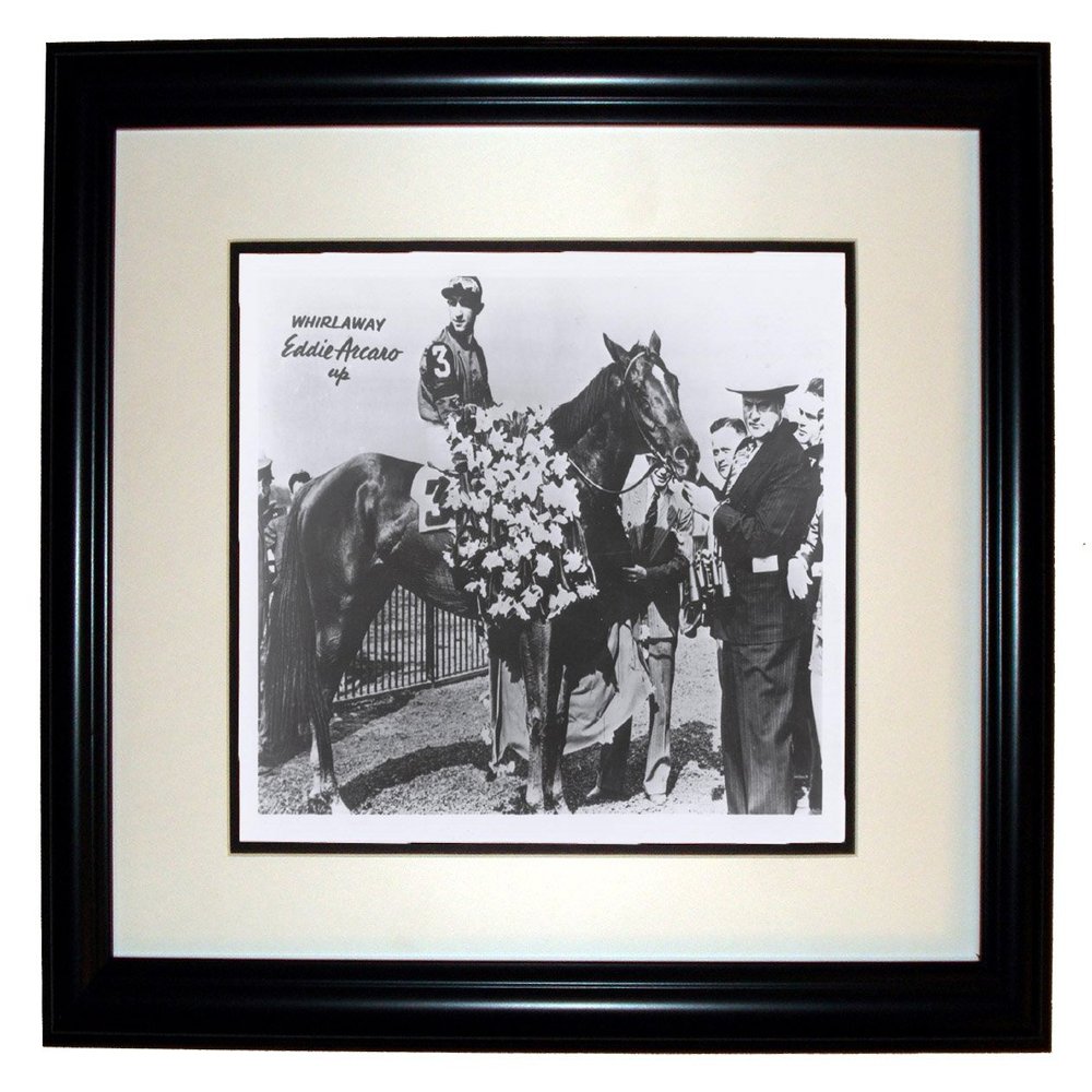 Collectiblia Whirlaway Thoroughbred Race Horse 8x10 Photo in an 11x14 Black Frame