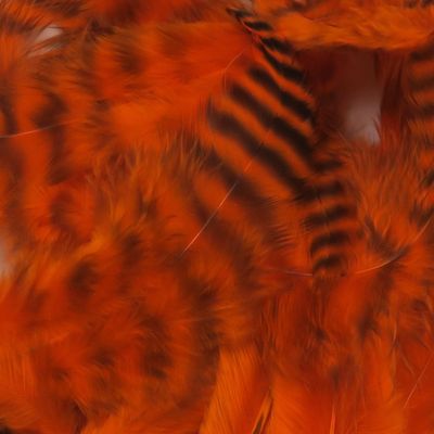 Hareline Fly Tying Grizzly Soft Hackle - Hot Orange