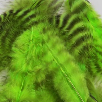 Hareline Fly Tying Grizzly Soft Hackle - Chartreuse