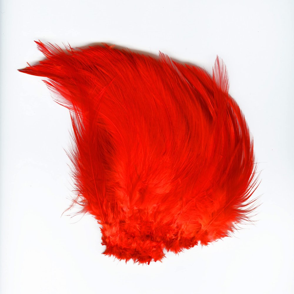 Wapsi Neck Hackle