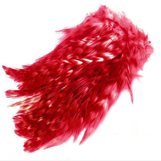 Wapsi Barred Strung Neck Hackle. Red