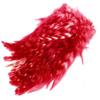Wapsi Barred Strung Neck Hackle. Red view 1