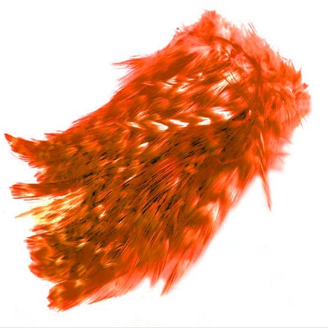 Wapsi Barred Strung Neck Hackle. FL. Fire Orange