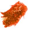 Wapsi Barred Strung Neck Hackle. FL. Fire Orange view 1