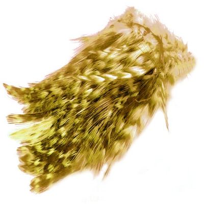 Wapsi Barred Strung Neck Hackle. Yellow