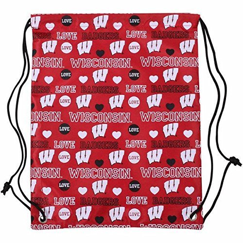 FOCO Wisconsin 2014 Mural Love Drawstring Backpack