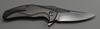Brous Blades Exo Flipper Folder 3.5" D2 Satin Blade, Silver Titanium Handles view 2