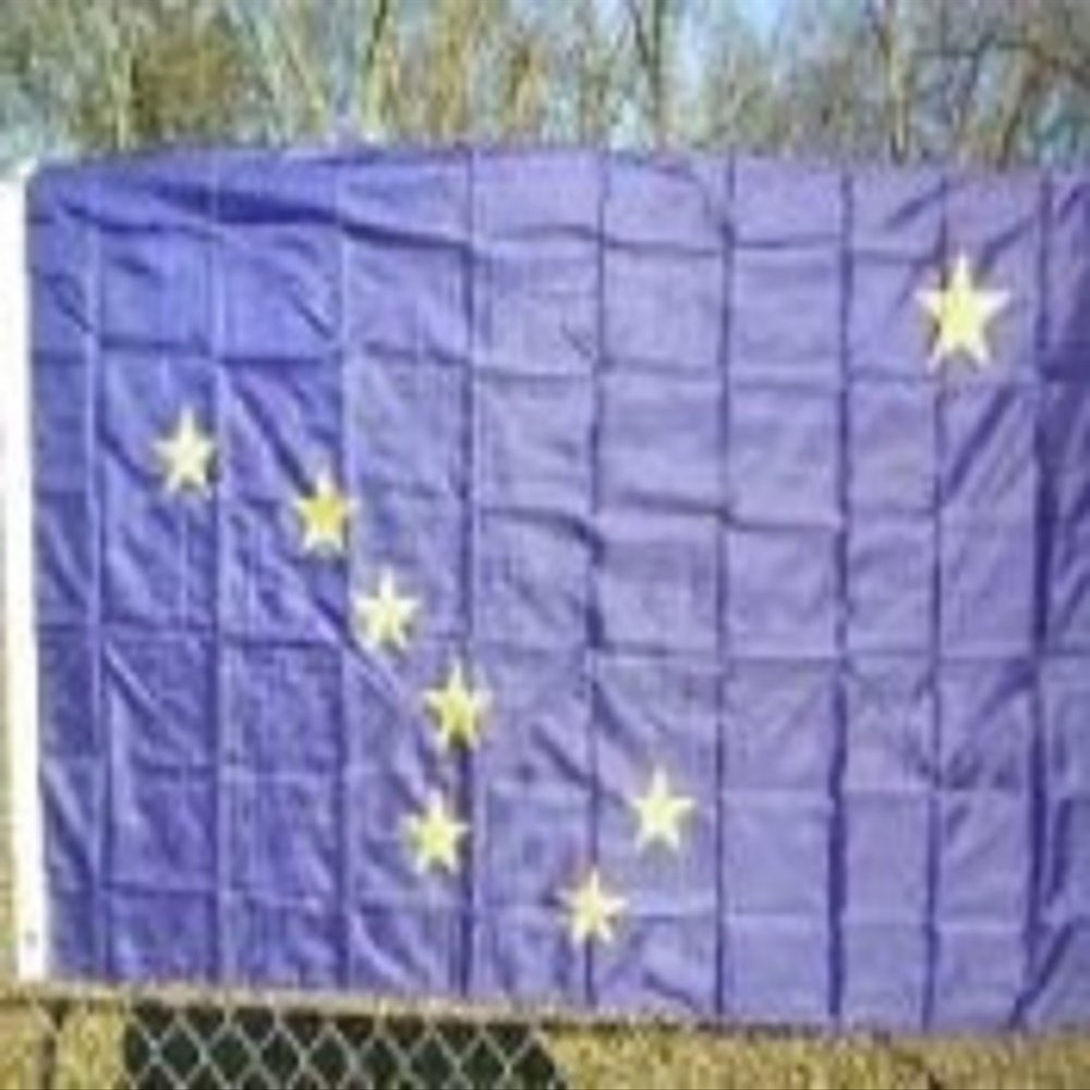 2x3 Alaska 2'x3' Polyester Flag banner