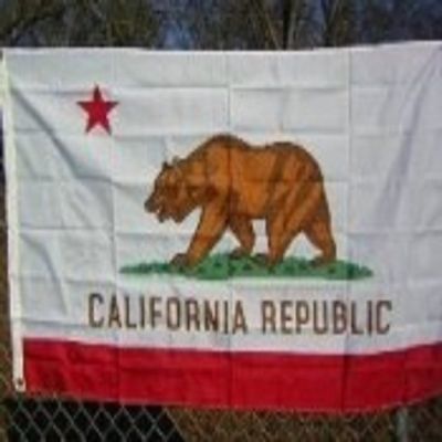 3x5 California Republic 3'x5' Polyester Flag banner