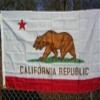 3x5 California Republic 3'x5' Polyester Flag banner view 1