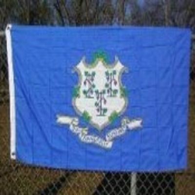 2x3 Connecticut 2'x3' Polyester Flag banner