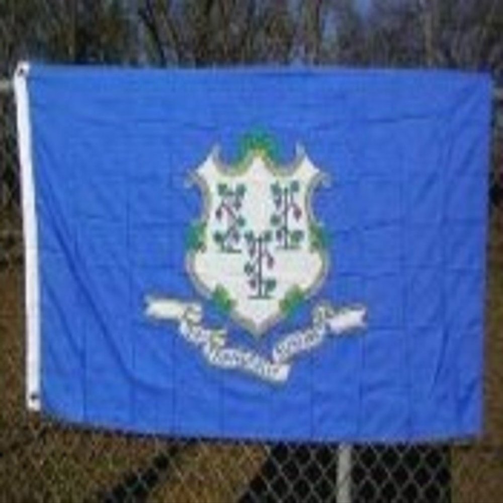 2x3 Connecticut 2'x3' Polyester Flag banner