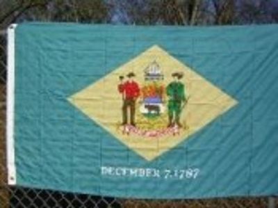 2x3 Delaware 2'x3' Polyester Flag banner