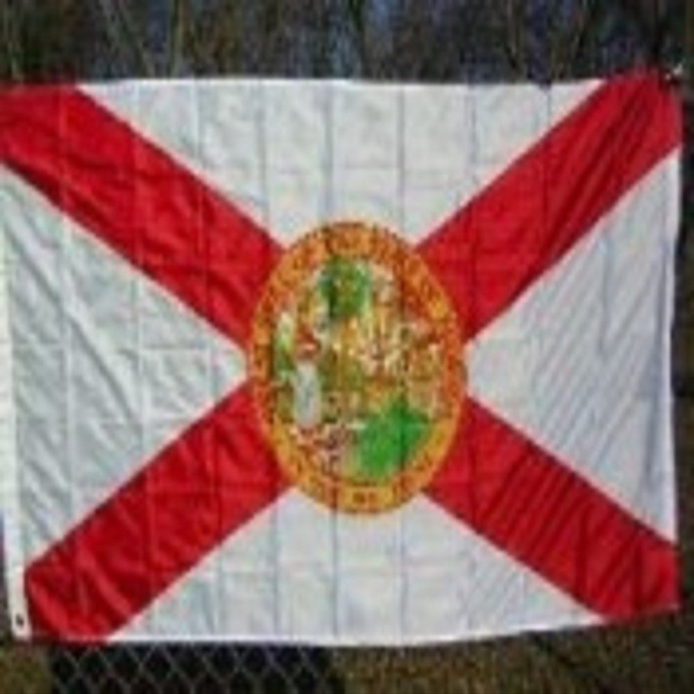 2x3 Florida 2'x3' Polyester Flag banner