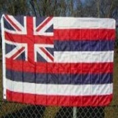 2x3 Hawaii 2'x3' Polyester Flag banner