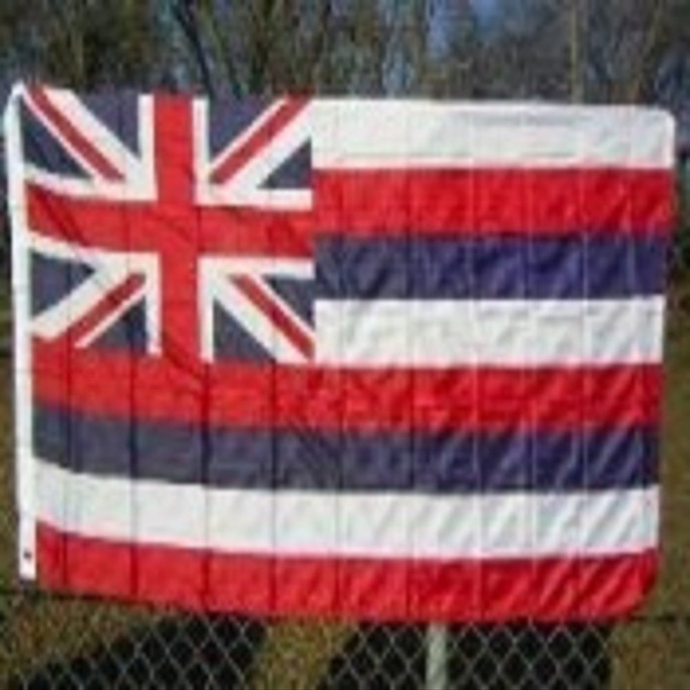 2x3 Hawaii 2'x3' Polyester Flag banner