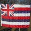 2x3 Hawaii 2'x3' Polyester Flag banner view 1