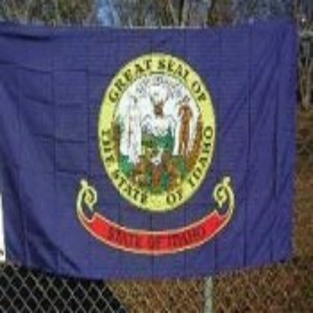 3x5 Idaho 3'x5' Polyester Flag banner