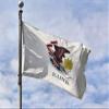 2x3 Illinois 2'x3' Polyester Flag banner view 1