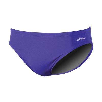 Dolfin Solid Polyester Brief Male (Purple, 22)