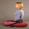 Nada Chair Sportbacker Portable Back Supporter for Seat Backs, Camping, Boating, Concerts - Convertible Pouch Bag (Black) view 3