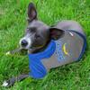 Chargers Hoodie Tee by Pets First view 4
