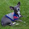 Buffalo Bills Hoodie Tee Shirt view 3