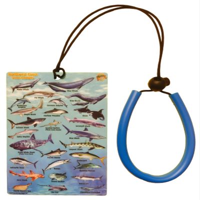 101SNORKEL New! Franko Mini Map and Fish Identification Card 4" x 6" with Free Lanyard (Northwest Coast)